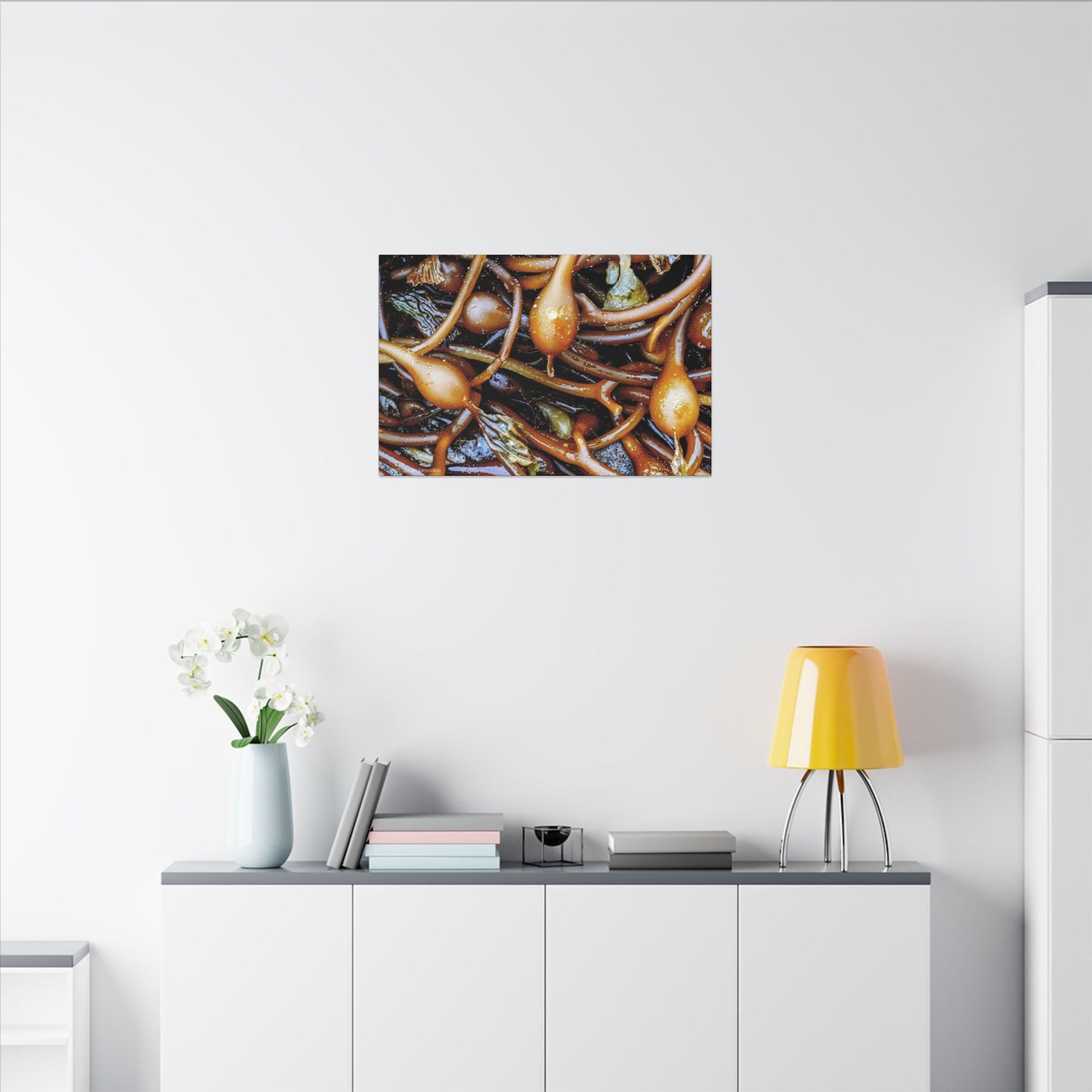 Swamis Vibe Encinitas California JSE Photograph #1244 Sea Kelp Nature Inspired Stretched Canvas Print, Ocean Decor, Wall Art for Beach Lovers, Coastal Home Decor, Unique Gift Idea